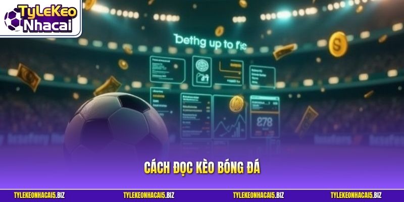 Cách Đọc Kèo Bóng Đá - Quy Trình Chi Tiết Cho Người Mới