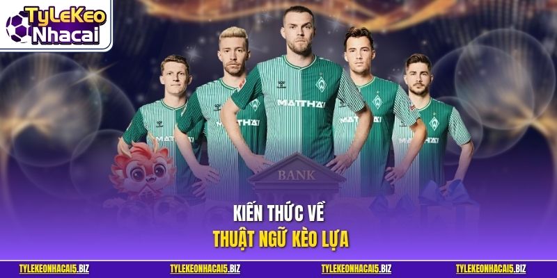 Kiến thức về thuật ngữ kèo lựa